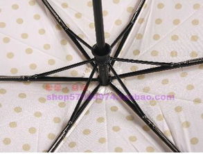 团购新风尚 义乌小商品第61团开启美业与家居新品盛宴